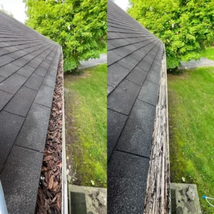gutter work