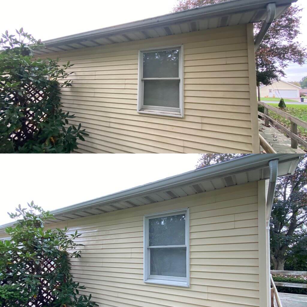Residential Siding Cleaning 